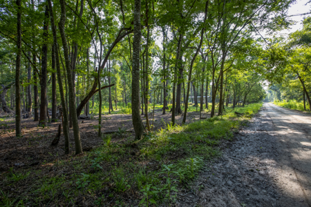 1 Acre Camping Lot for Sale in O'Brien, Florida - image 20