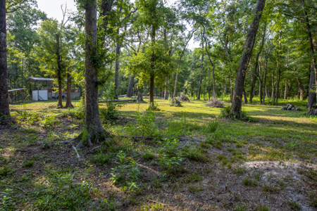 1 Acre Camping Lot for Sale in O'Brien, Florida - image 26