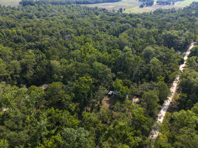 1 Acre Camping Lot for Sale in O'Brien, Florida - image 23