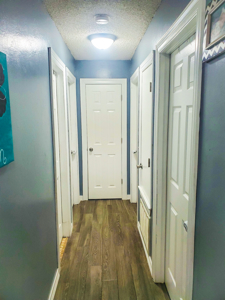 Home in Sought-After Meadowpark Neighborhood – Morrison Schools - image 12