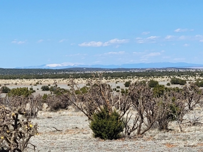 39.9 Acres in Estancia NM with Mountain Views & Good Soil - image 2
