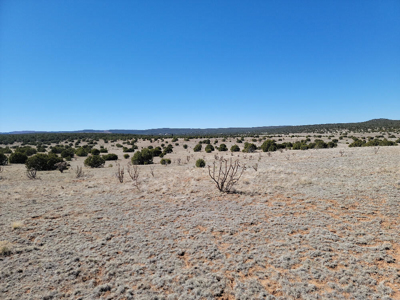 40 Acres in Estancia NM with Mountain Views & Good Soil - image 1