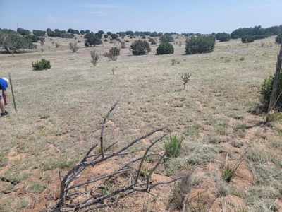 40 Acres in Estancia NM with Mountain Views & Good Soil - image 2