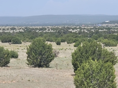 Wooded 40 Acres in Estancia with Mountain Views - image 1
