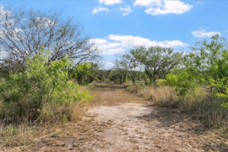 Hollow Tree Ranch Subdivision – Jim Wells County - image 38