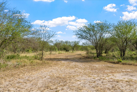 Hollow Tree Ranch Subdivision – Jim Wells County - image 36