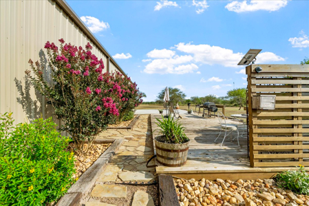 Hollow Tree Ranch Subdivision – Jim Wells County - image 28