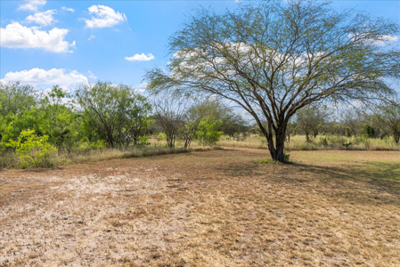 Hollow Tree Ranch Subdivision – Jim Wells County - image 37