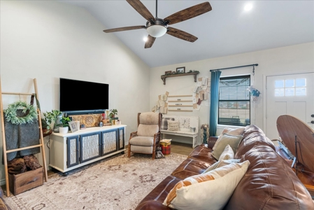 Hollow Tree Ranch Subdivision – Jim Wells County - image 4