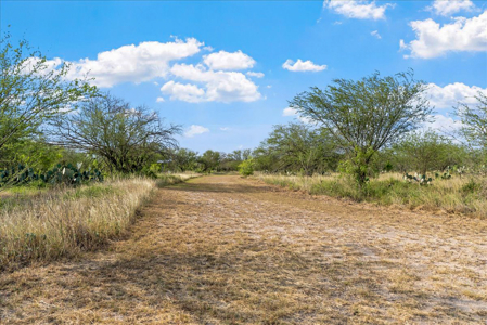 Hollow Tree Ranch Subdivision – Jim Wells County - image 41
