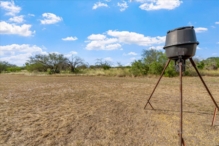 Hollow Tree Ranch Subdivision – Jim Wells County - image 34