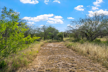 Hollow Tree Ranch Subdivision – Jim Wells County - image 39