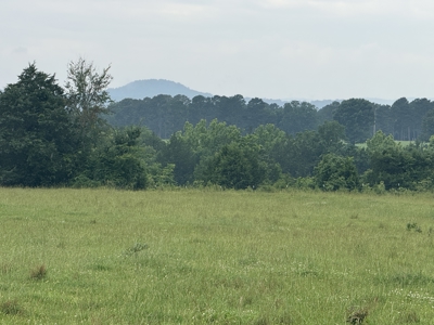 Riverfront Lot For Sale In North Central Arkansas - image 5