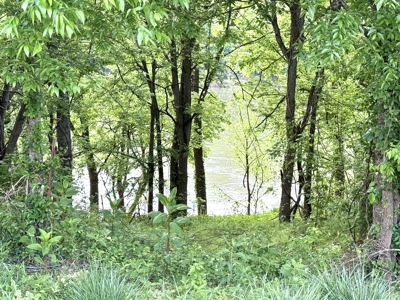 Riverfront Lot For Sale In North Central Arkansas - image 3