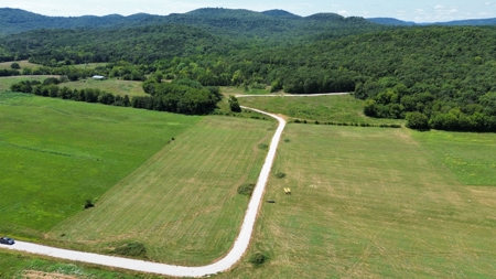 Riverfront Lot For Sale In North Central Arkansas - image 16