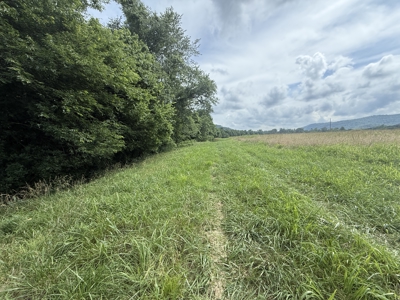 Riverfront Lot For Sale In North Central Arkansas - image 7