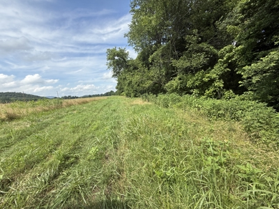 Riverfront Lot For Sale In North Central Arkansas - image 6