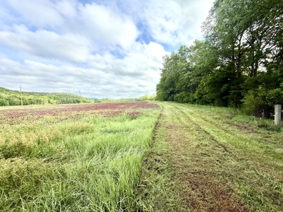 Riverfront Lot For Sale In North Central Arkansas - image 8