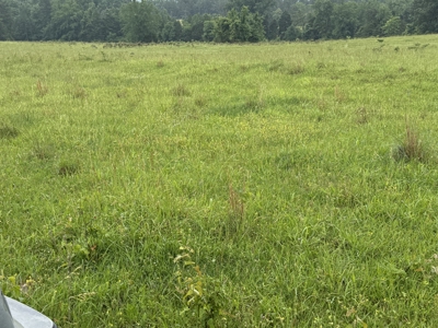 Riverfront Lot For Sale In North Central Arkansas - image 9