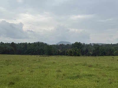 Riverfront Lot For Sale In North Central Arkansas - image 10