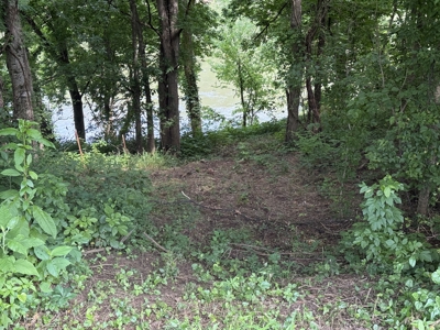 Riverfront Lot For Sale In North Central Arkansas - image 4