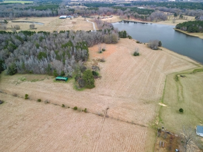 Flora Mississippi 34+- Acres for Sale - image 7