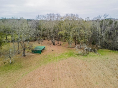 Flora Mississippi 34+- Acres for Sale - image 8