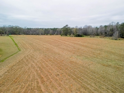 Flora Mississippi 34+- Acres for Sale - image 6