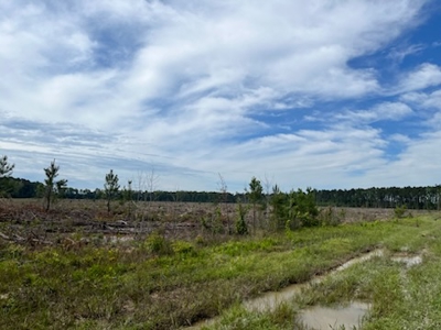 Fenter NE Tract Land For Sale in Grant County, Arkansas - image 2