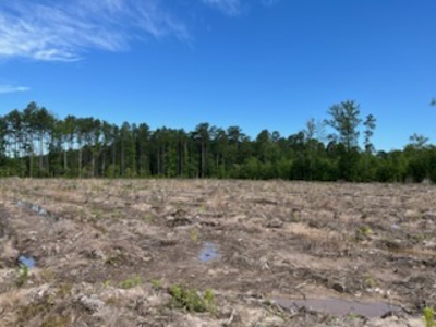 Fenter NE Tract Land For Sale in Grant County, Arkansas - image 1