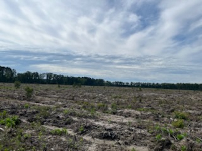 Fenter NE Tract Land For Sale in Grant County, Arkansas - image 3