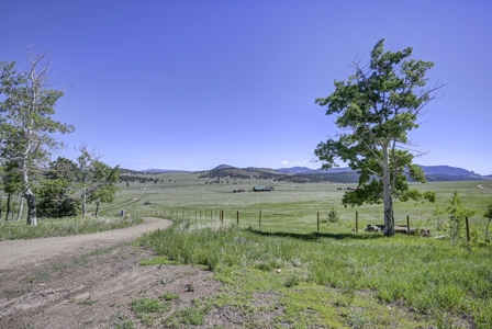 Experience the Best of Log Home Living in Westcliffe, CO - image 35
