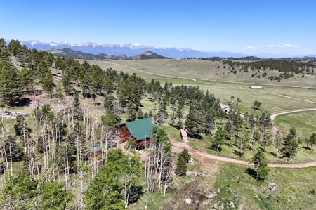 Experience the Best of Log Home Living in Westcliffe, CO - image 36
