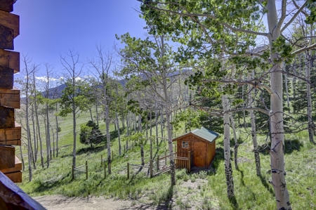 Experience the Best of Log Home Living in Westcliffe, CO - image 25