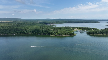 Tract 1 No Reserve Real Estate / Lake Lodge Auction, Cookson, OK - image 41