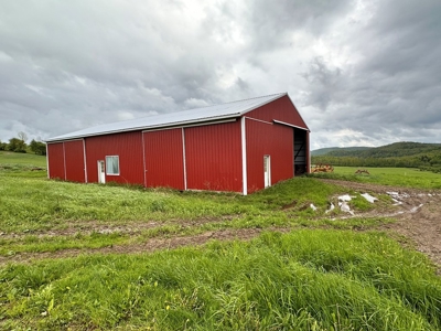 Farming or Hunting Land, Millerton Pa - image 3