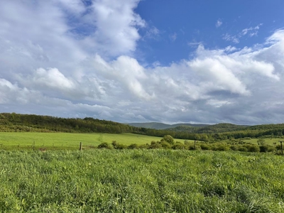 Farming or Hunting Land, Millerton Pa - image 1