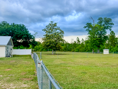 Private Country Paradise with Pond, Pool & Acreage in Cottondale - image 32