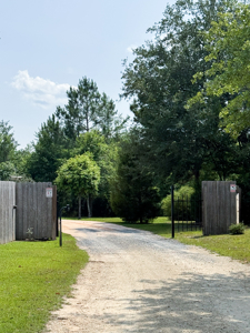 Private Country Paradise with Pond, Pool & Acreage in Cottondale - image 36