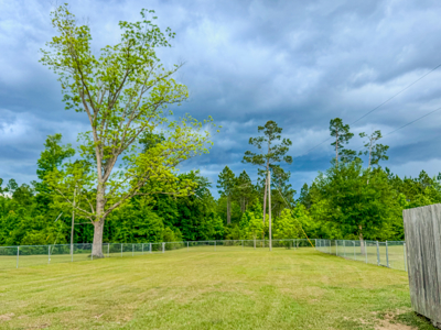 Private Country Paradise with Pond, Pool & Acreage in Cottondale - image 33