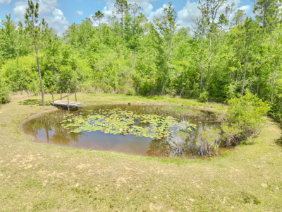 Private Country Paradise with Pond, Pool & Acreage in Cottondale - image 42