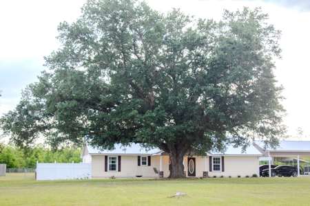Private Country Paradise with Pond, Pool & Acreage in Cottondale - image 38