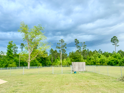 Private Country Paradise with Pond, Pool & Acreage in Cottondale - image 31