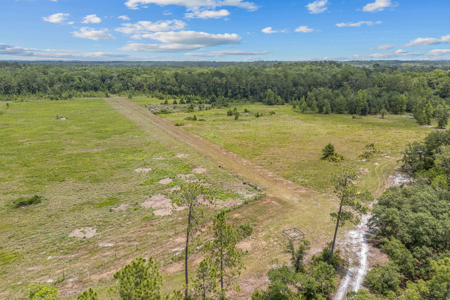 94+ Private Acres With Lots Of Wildlife In Putnam Co! - image 5