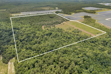 94+ Private Acres With Lots Of Wildlife In Putnam Co! - image 8