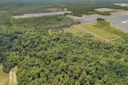 94+ Private Acres With Lots Of Wildlife In Putnam Co! - image 9