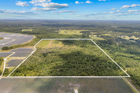 94+ Private Acres With Lots Of Wildlife In Putnam Co! - image 13