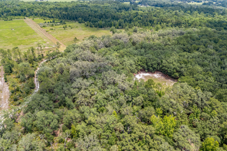 94+ Private Acres With Lots Of Wildlife In Putnam Co! - image 17
