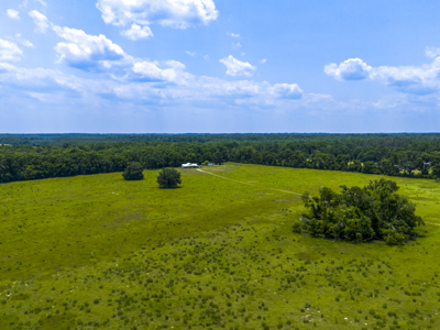 Country Home on 40 acres for Sale in Suwannee County, Florida - image 35