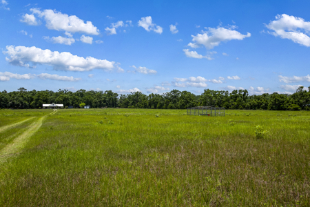 Country Home on 40 acres for Sale in Suwannee County, Florida - image 39